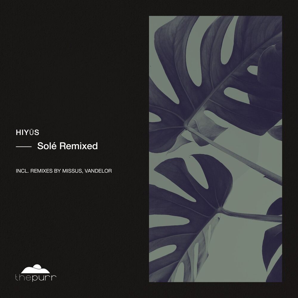 Picture of Solé Remixed