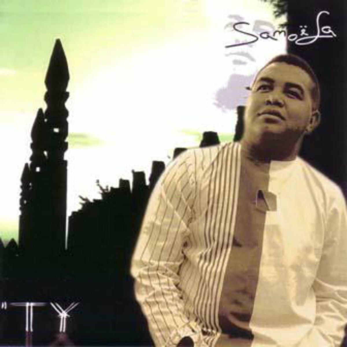Album cover of TY