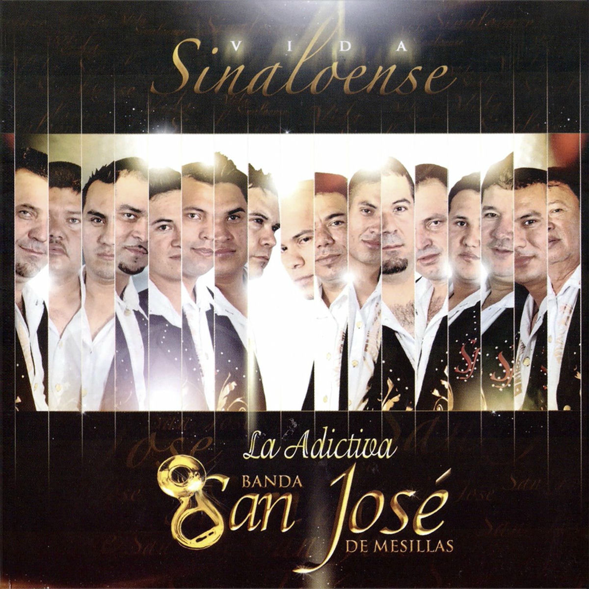 Album cover of Vida Sinaloense