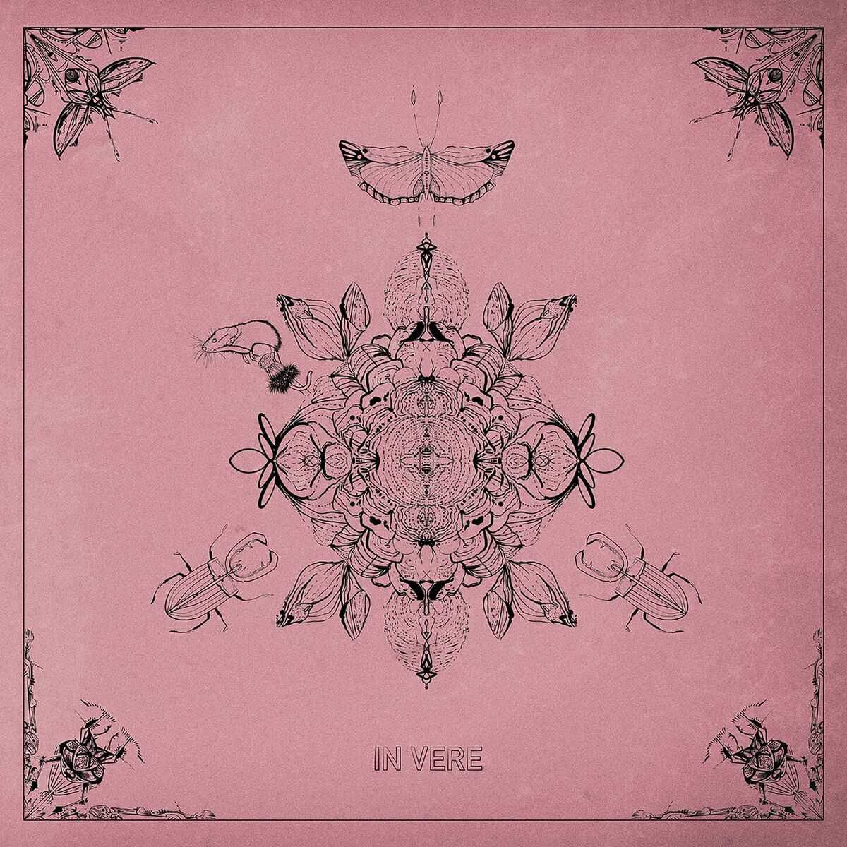 Album cover of IN VERE