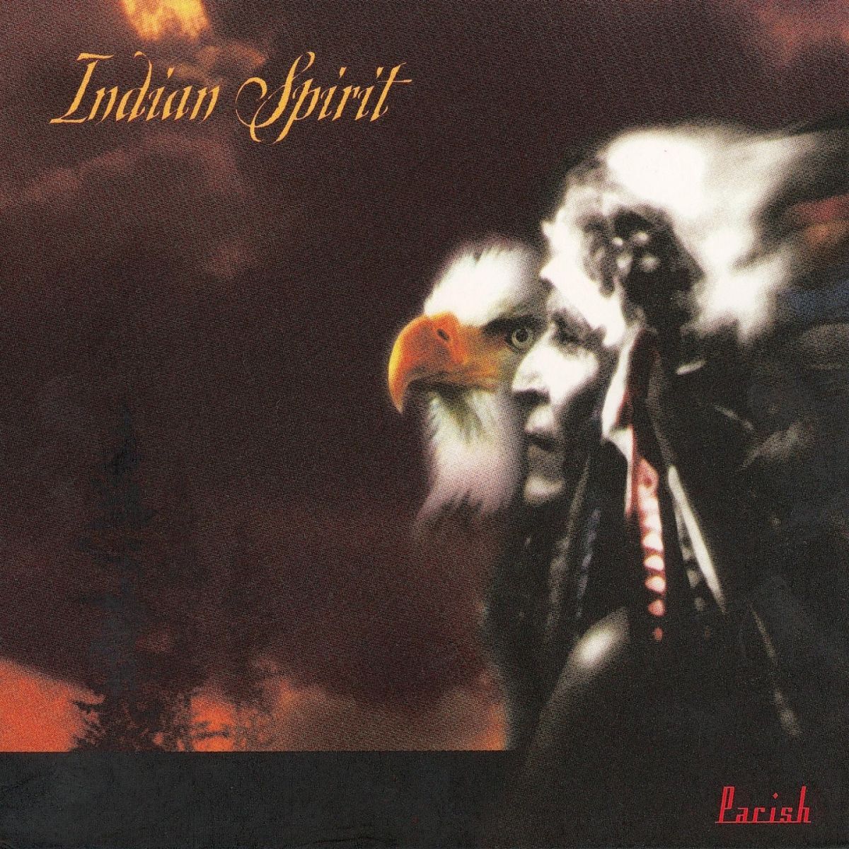 Album cover of Indian Spirit
