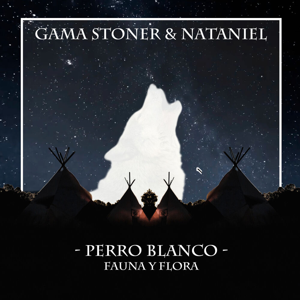Picture of Perro Blanco: Fauna y Flora