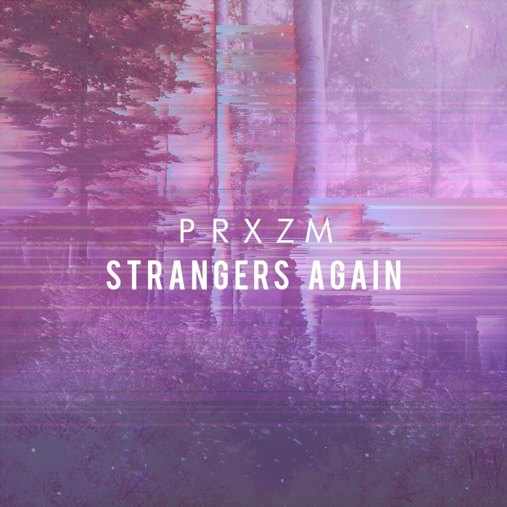 Picture of Strangers Again