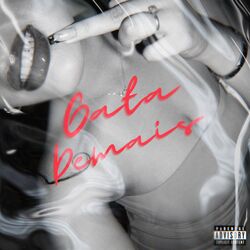Cover of GATA DEMAIS