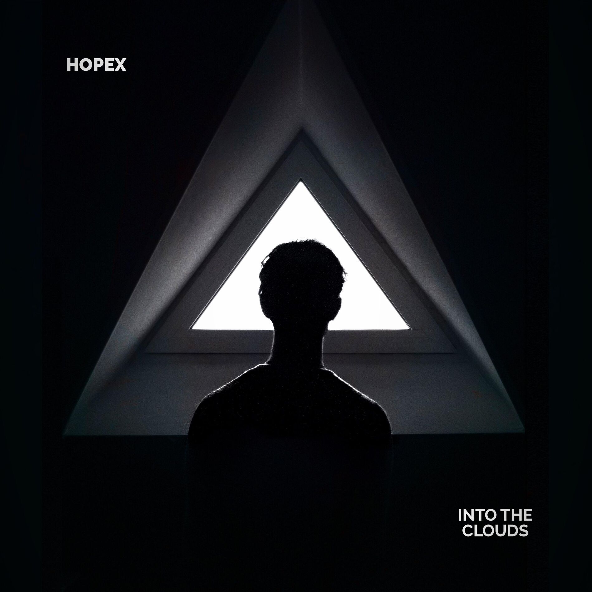 Album cover of Into the Clouds