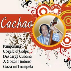 Cover of Descargas