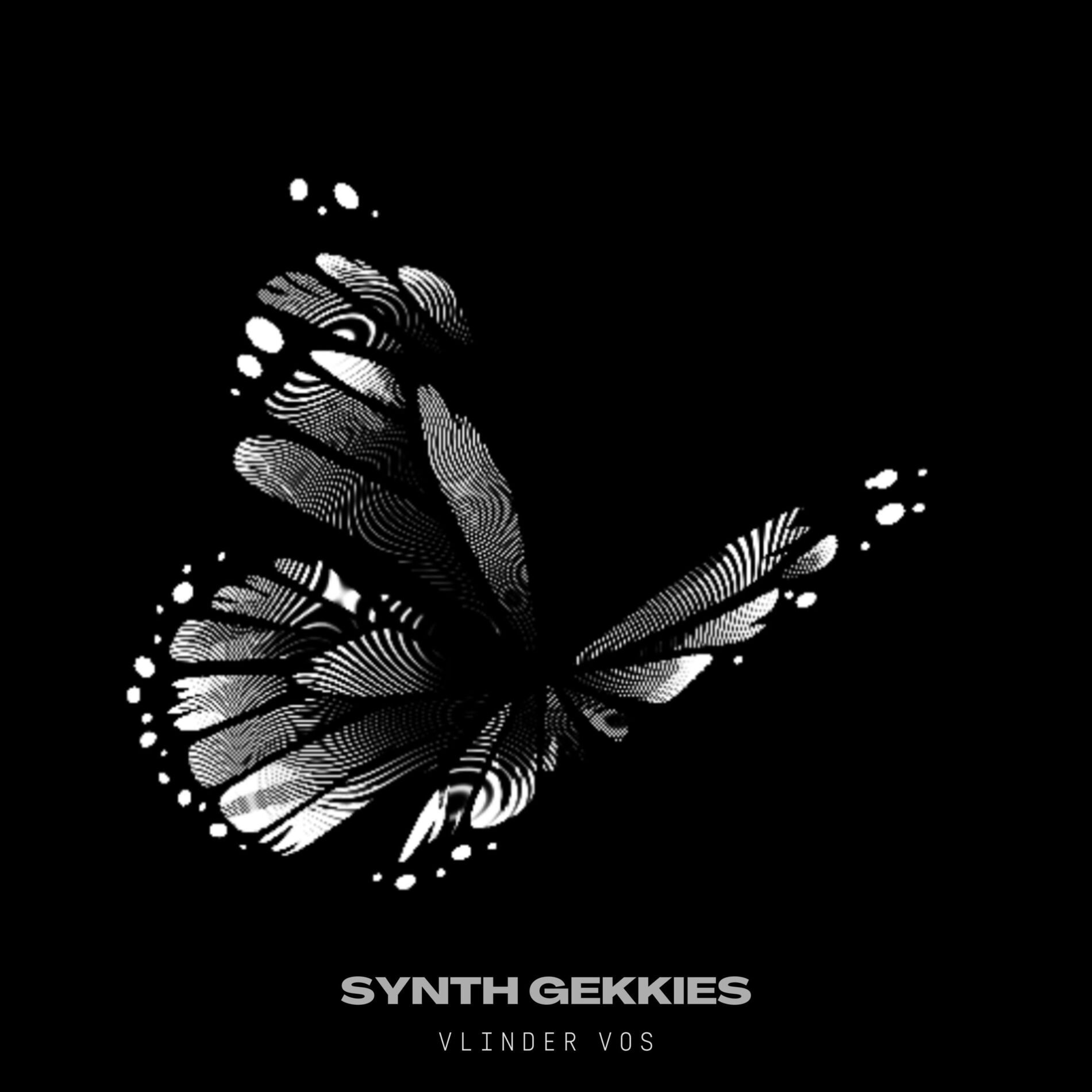 Album cover of Synth Gekkies