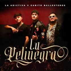music cover