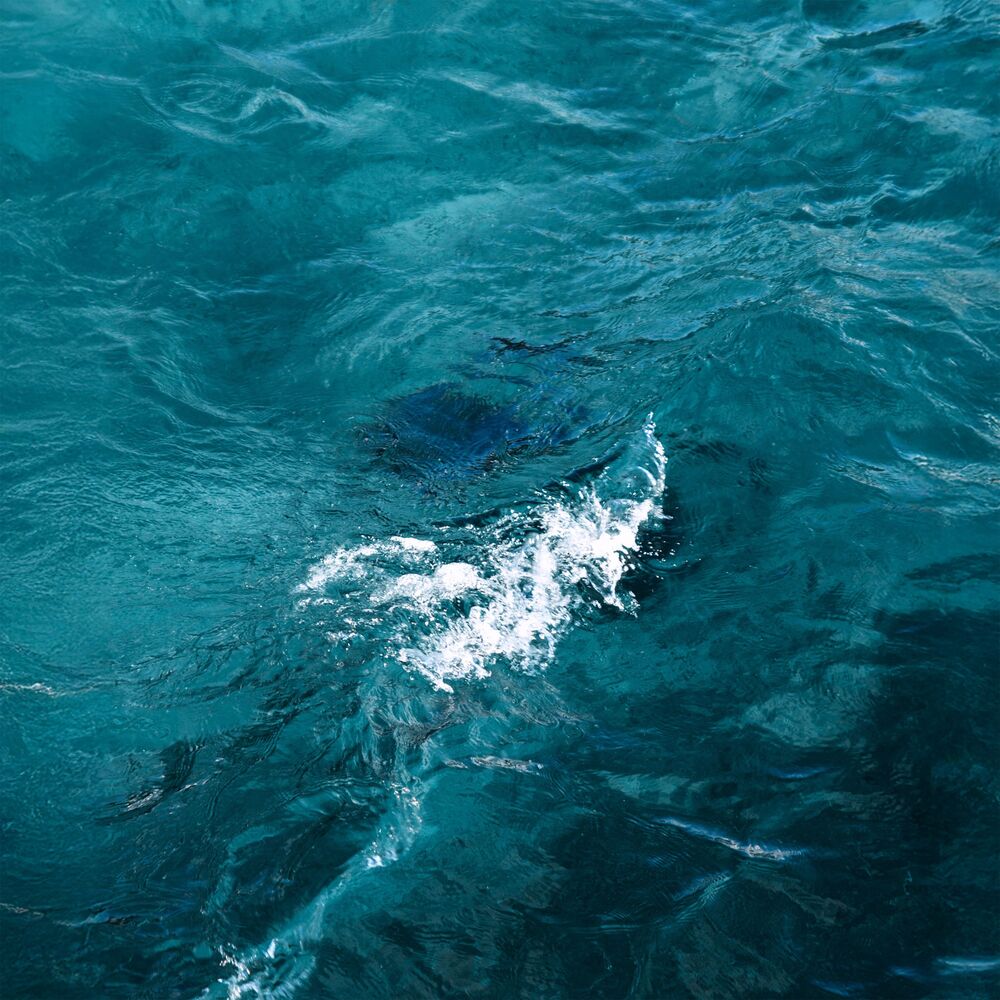 Picture of Floating in Silence, Rejuvenation