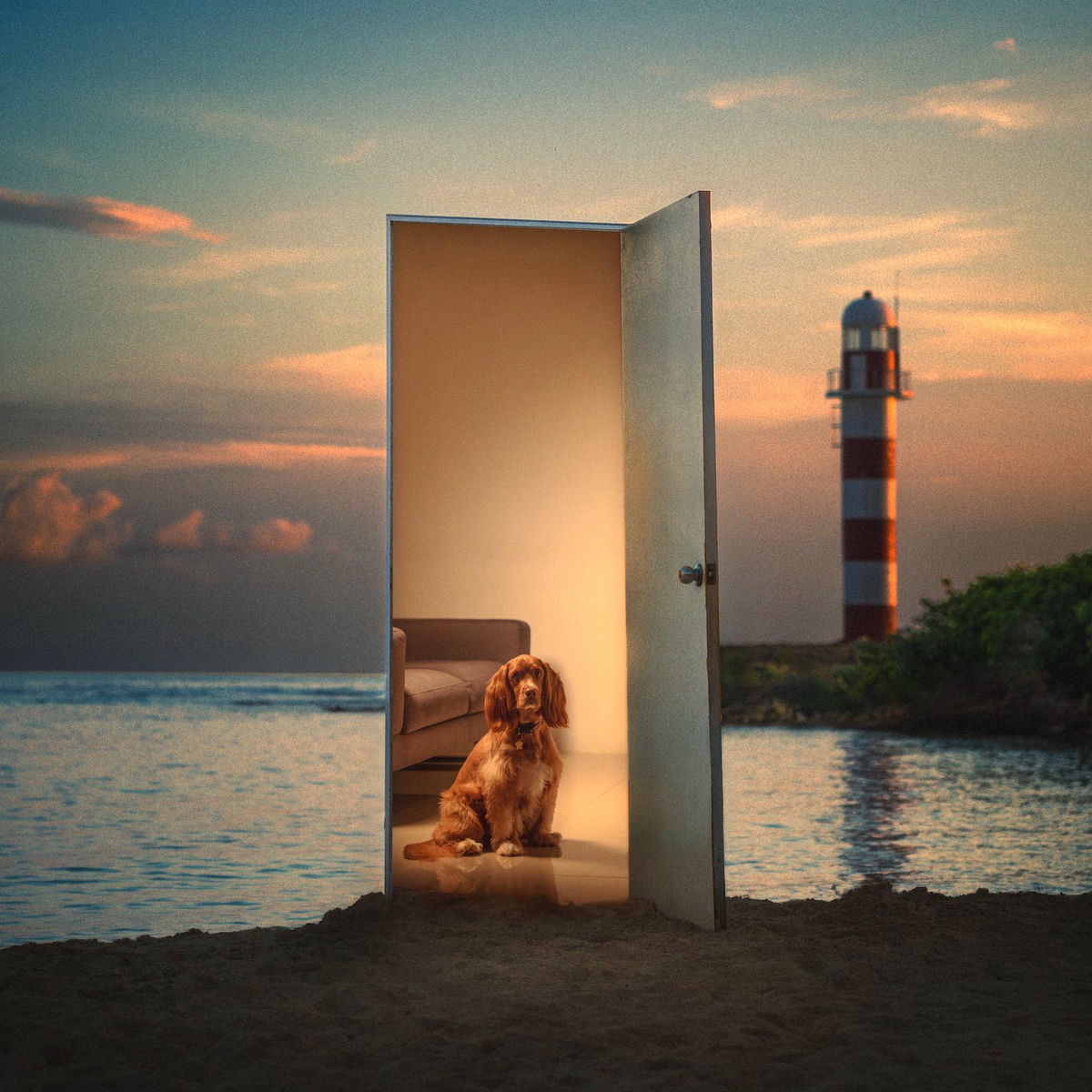 Album cover of Chance