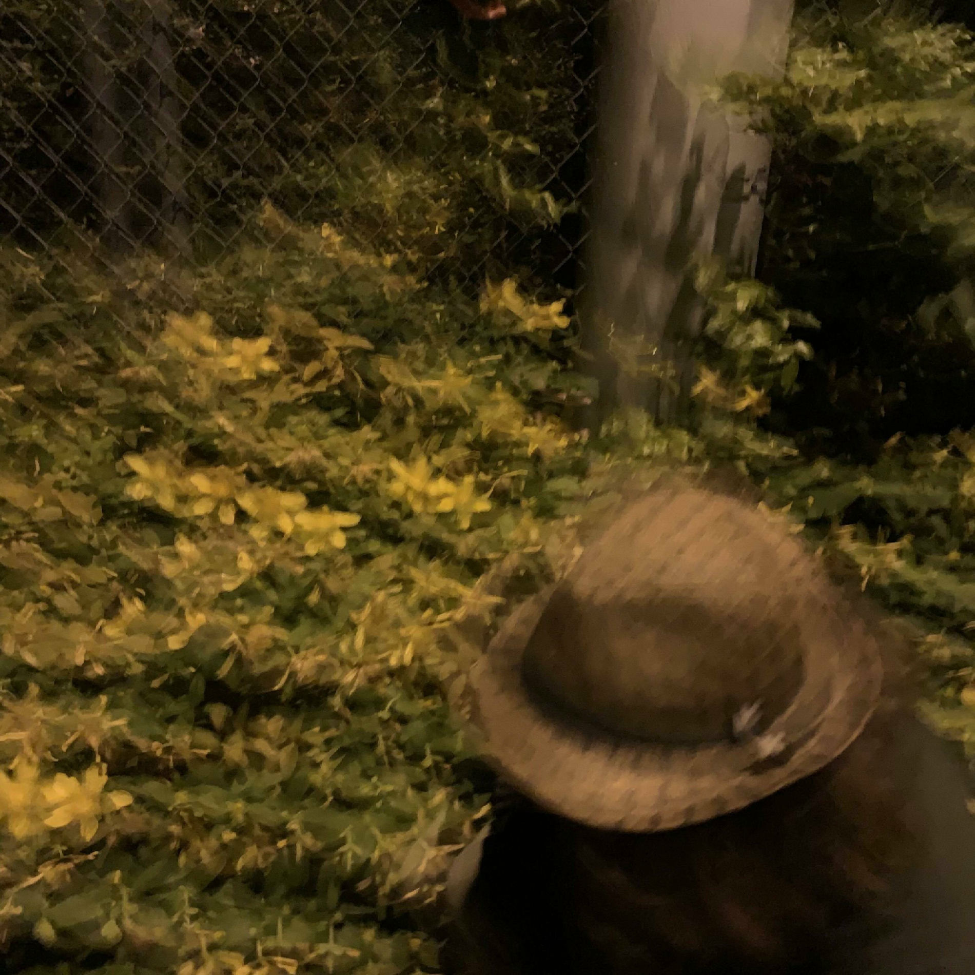 Album cover of Beats '23