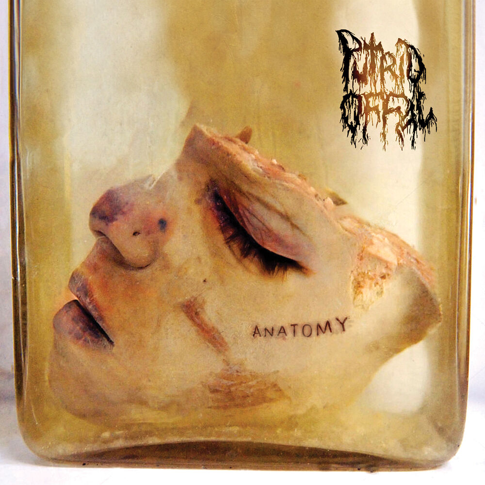 Picture of Anatomy