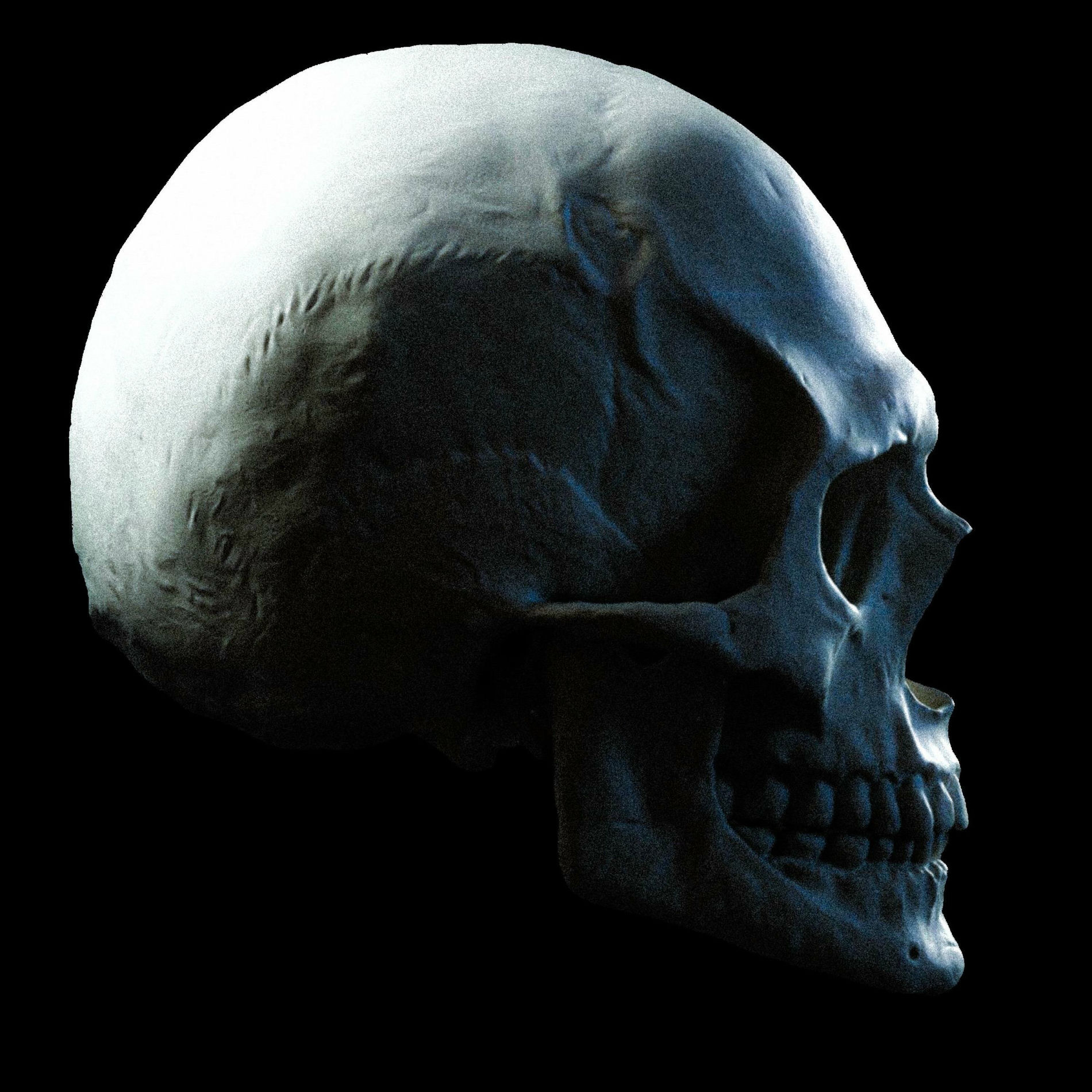 Album cover of FOR LIFE