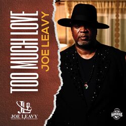 Cover of Too Much Love