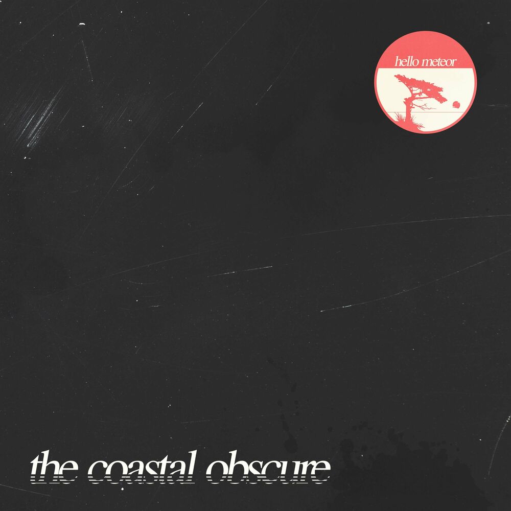 Picture of The Coastal Obscure
