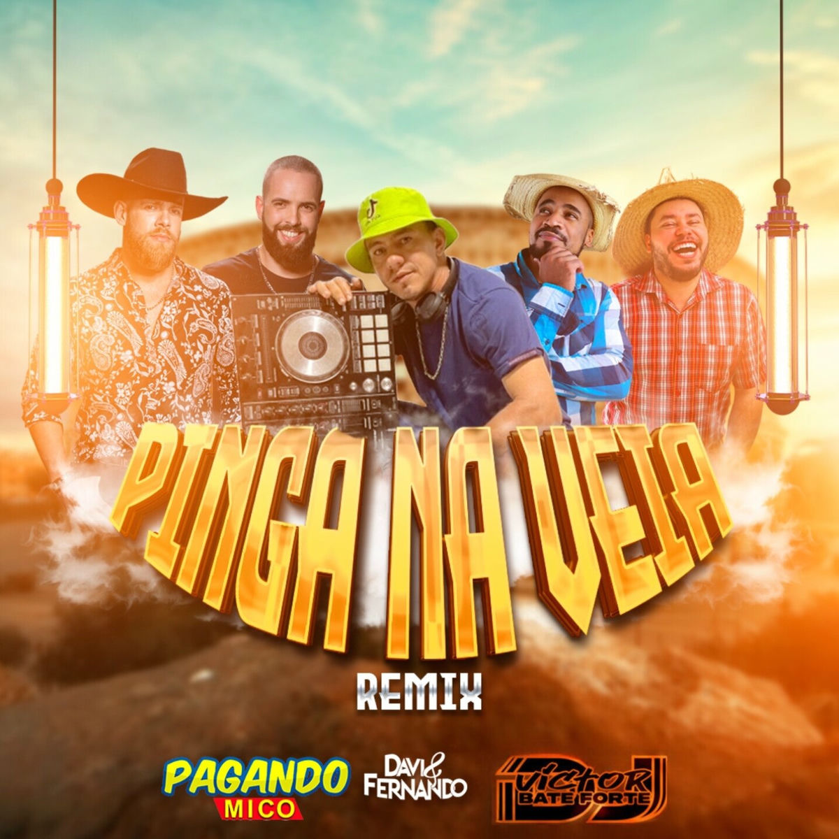Album cover of Pinga Na Veia (Remix)