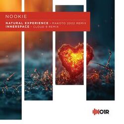 Cover of Natural Experience (Remix)