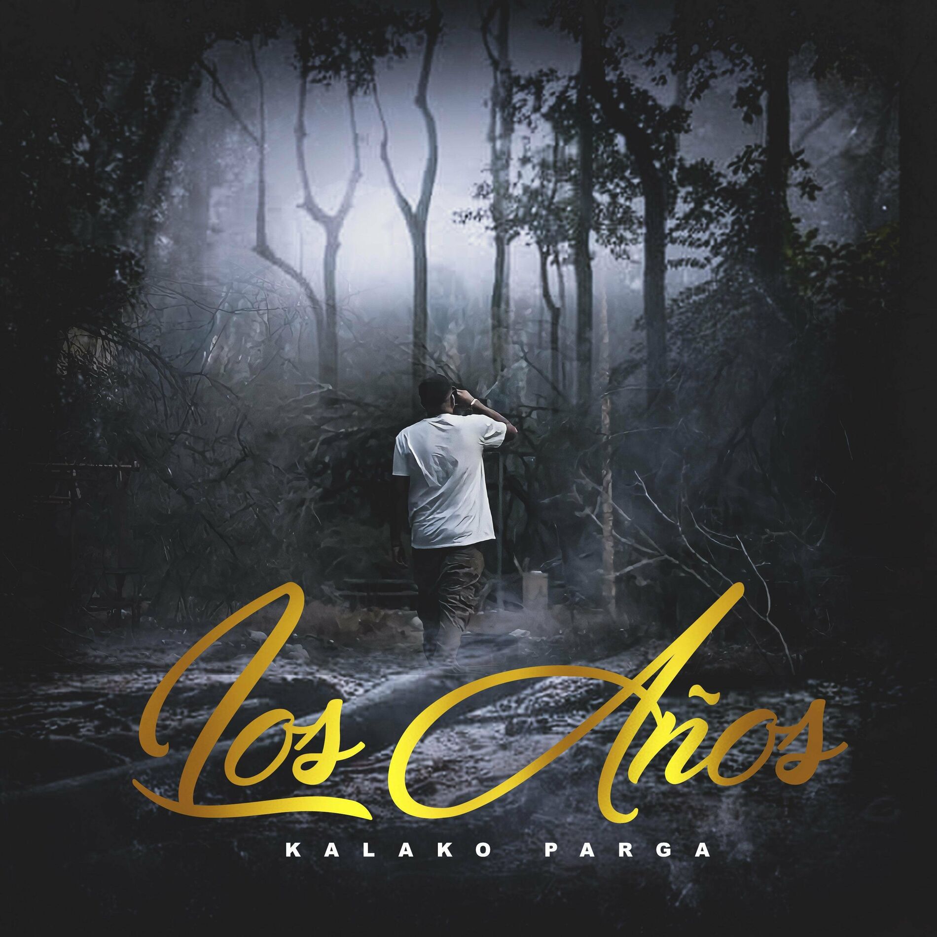 Album cover of Los años