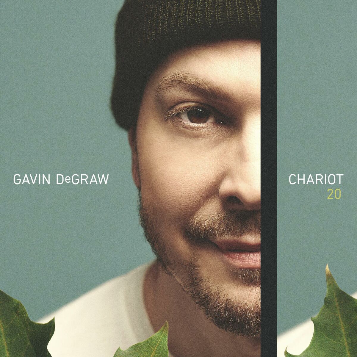 Album cover of Chariot 20