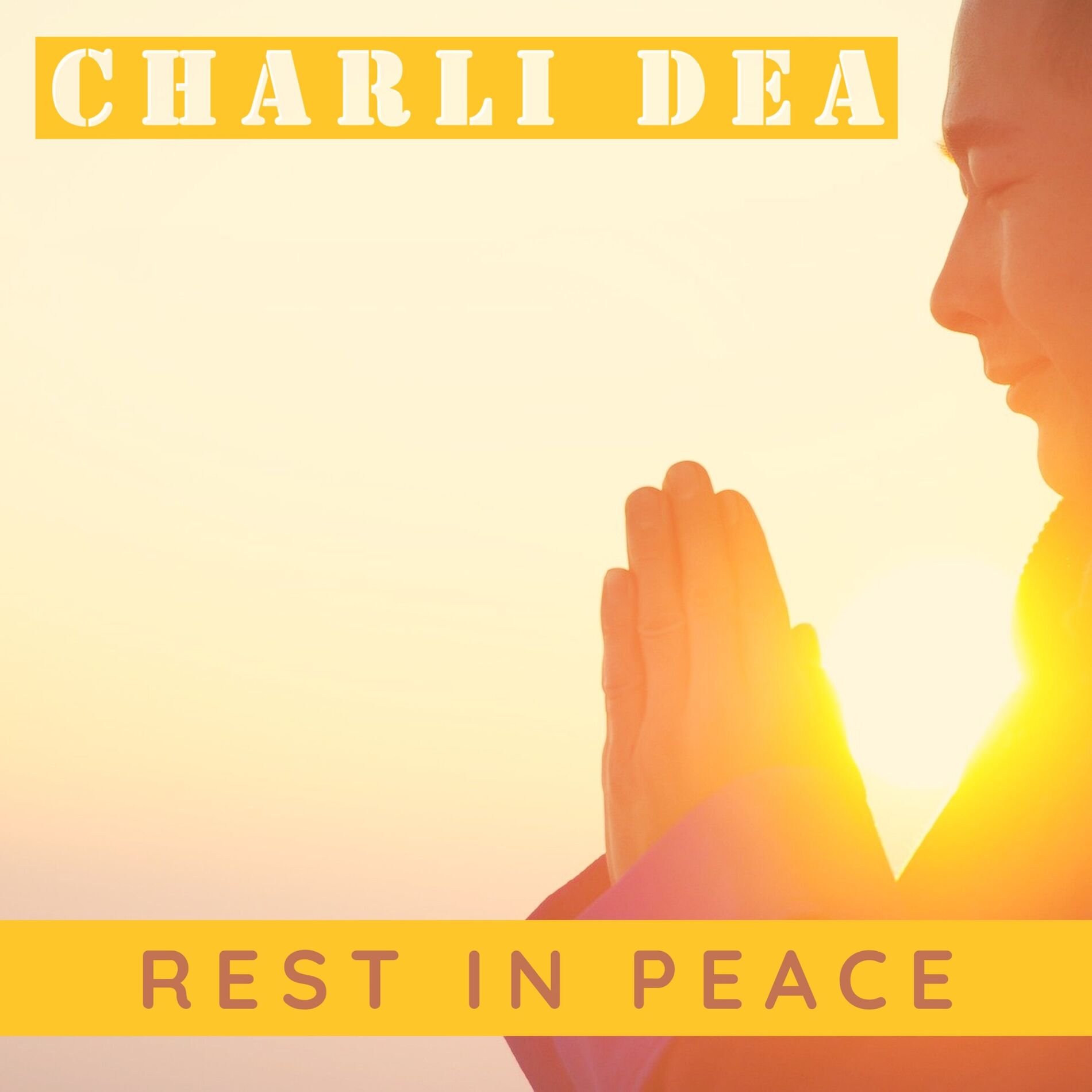 Album cover of Rest In Peace