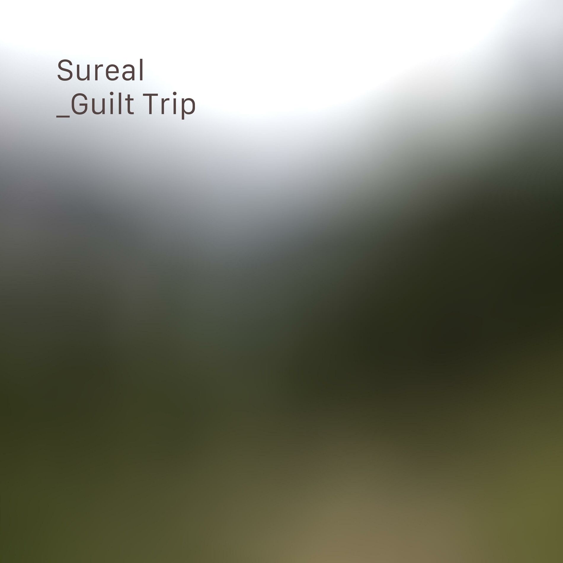 Album cover of Guilt Trip