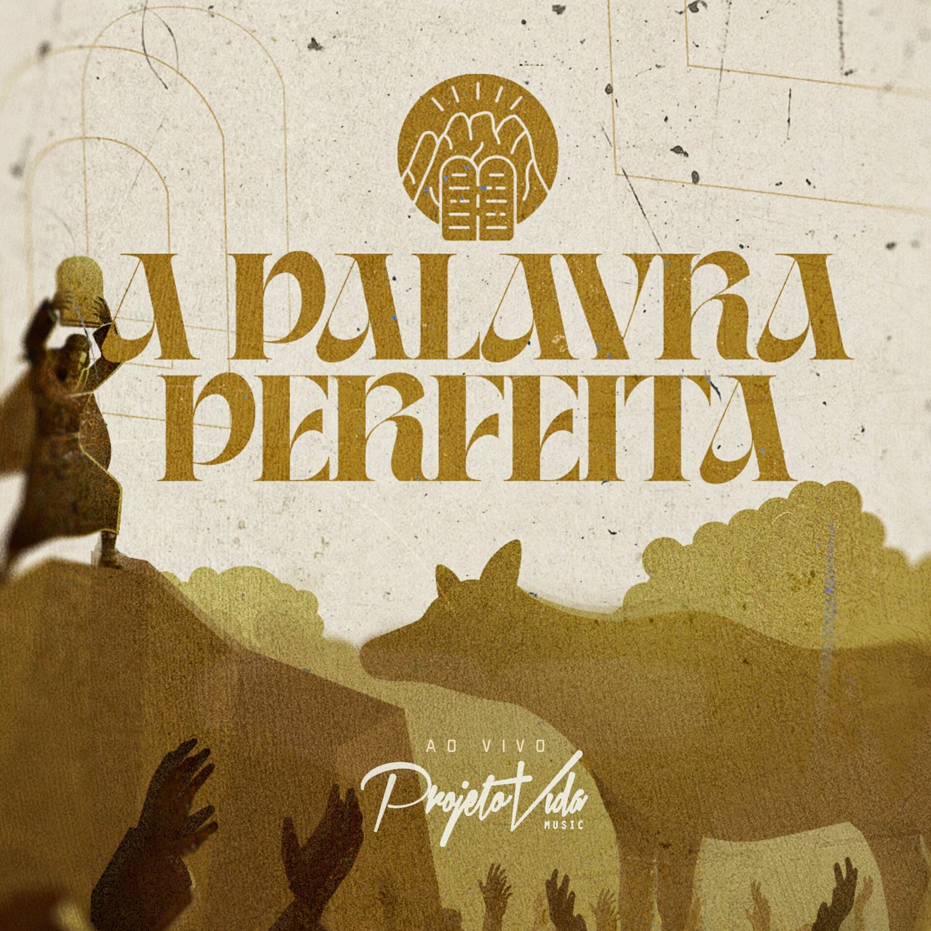 Album cover of A Palavra Perfeita (Ao Vivo)