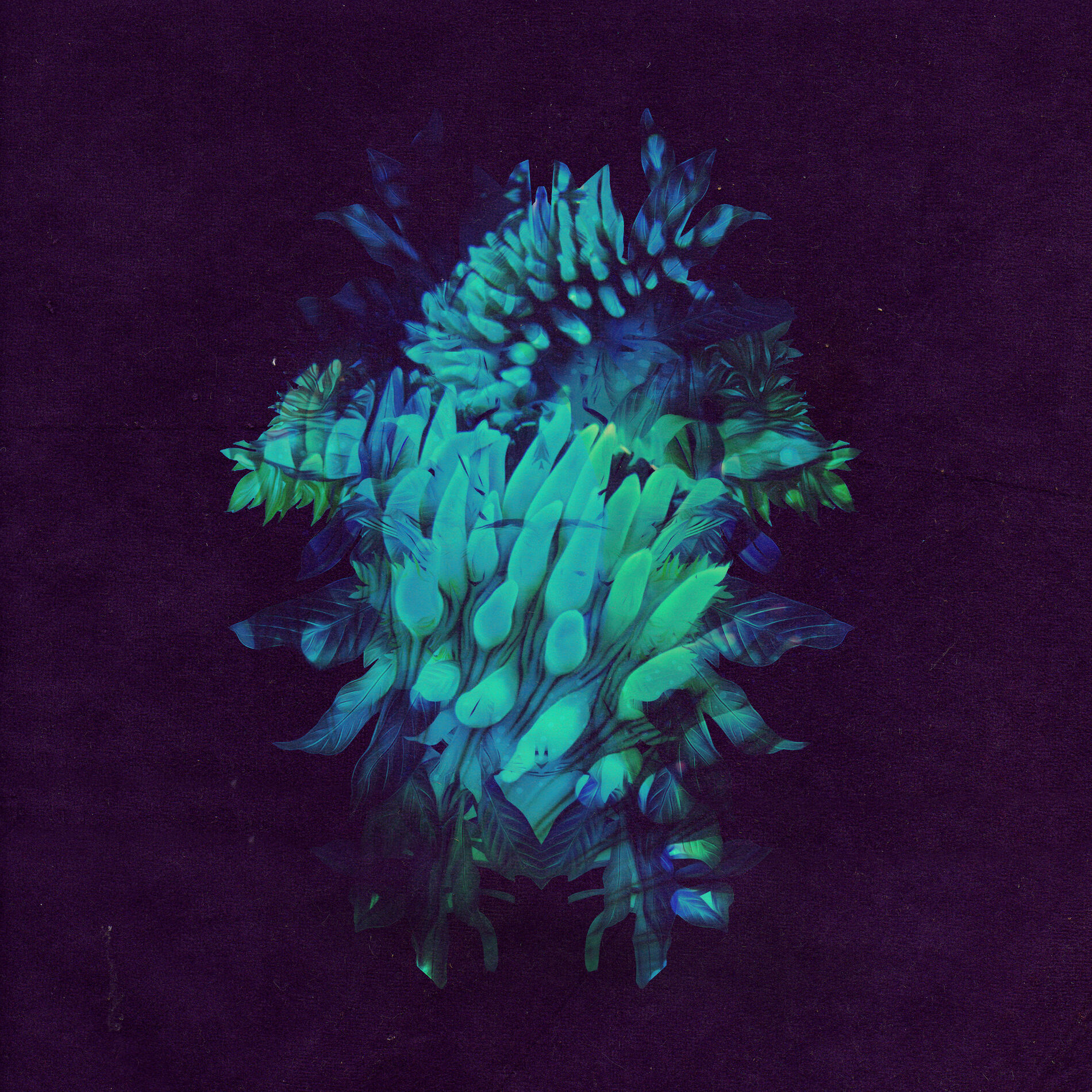 Album cover of Chakra
