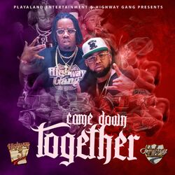 Cover of Came Down Together