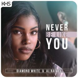Cover of Never Be Like You