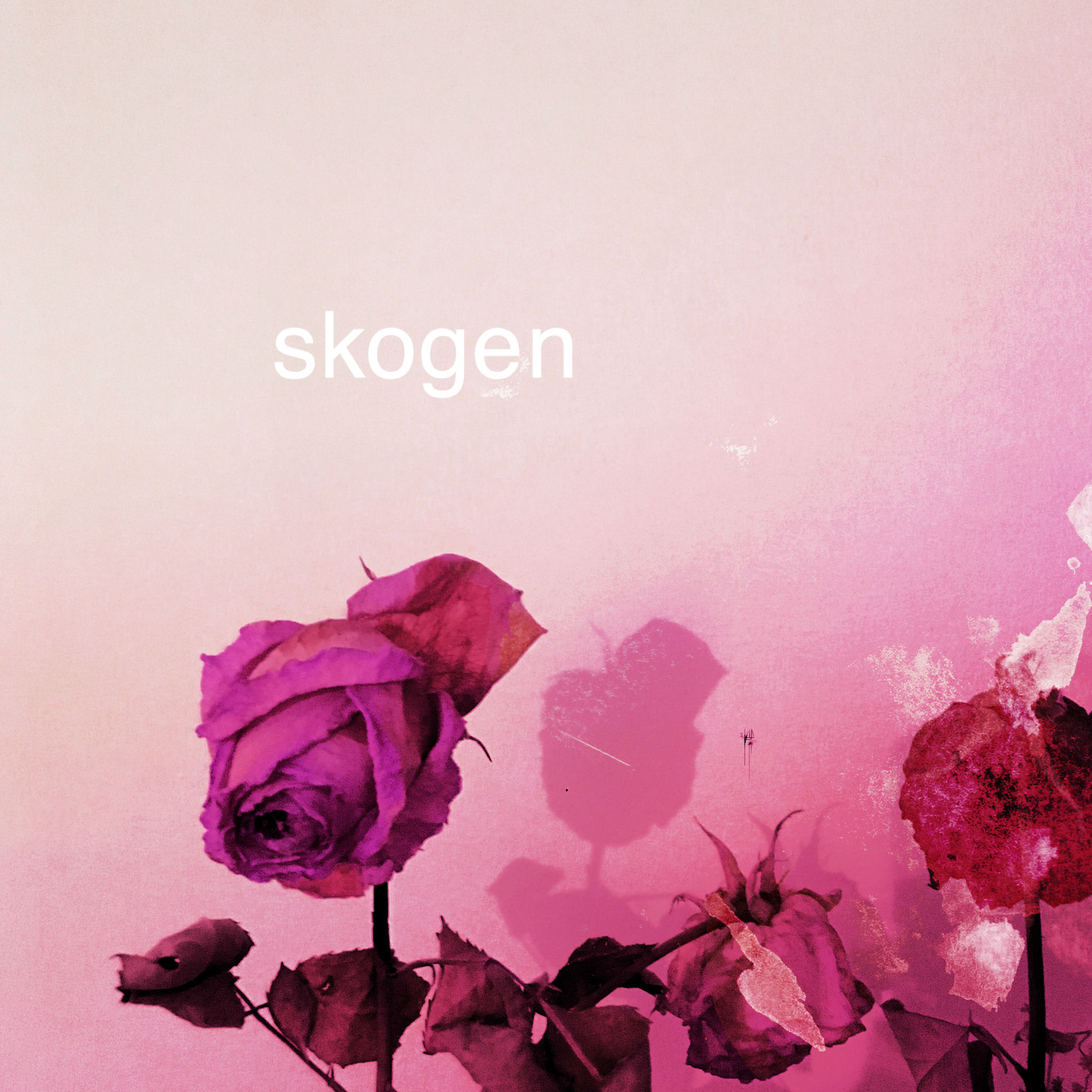 Album cover of skogen