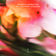 Calling by EMBRZ album cover