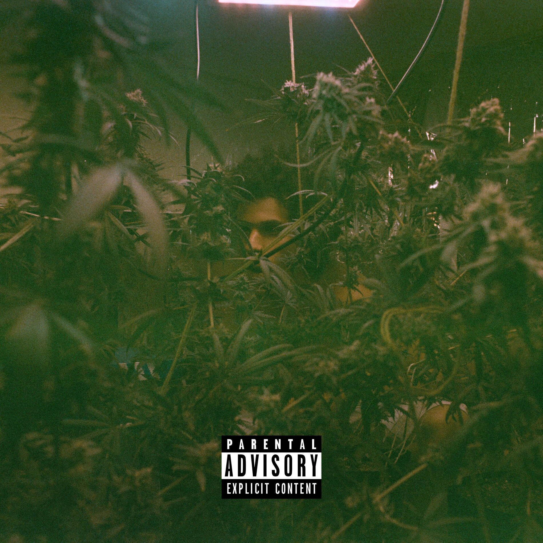 Album cover of Cozinha Marginal