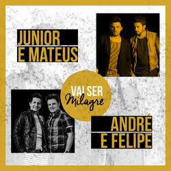 Cover of Vai Ser Milagre