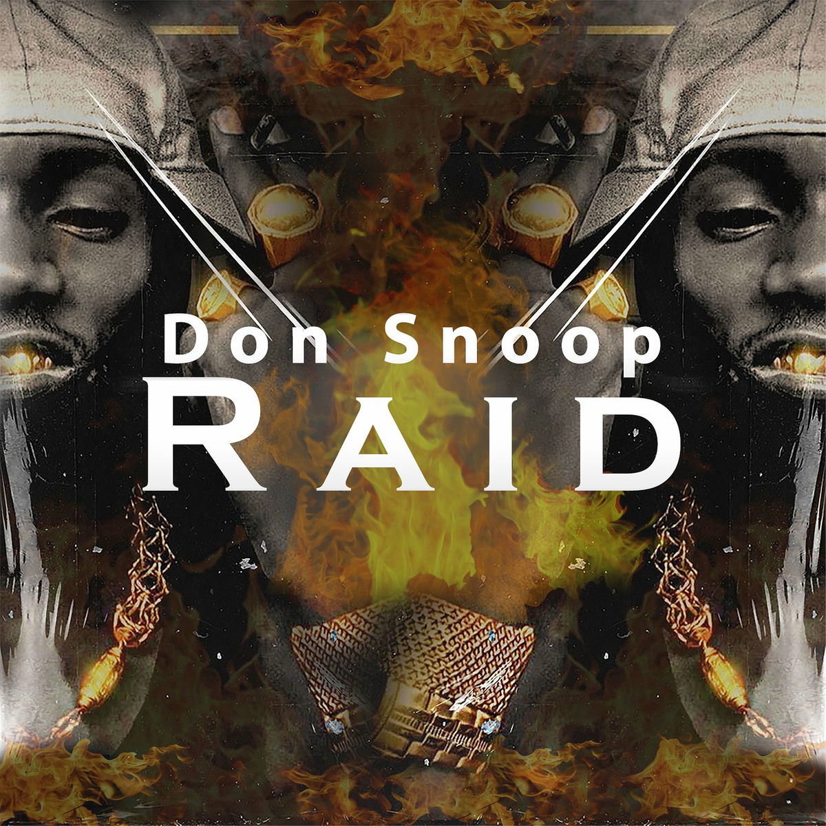 Album cover of Raid