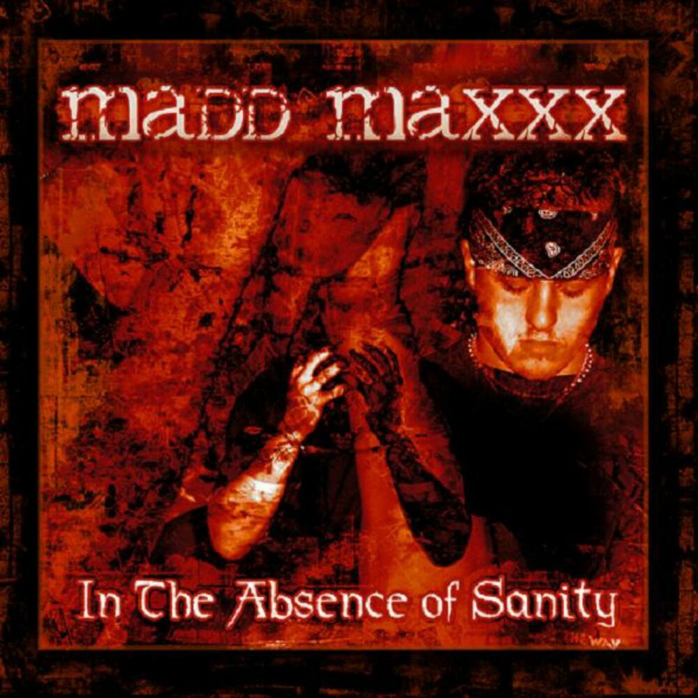 Picture of In the Absence of Sanity