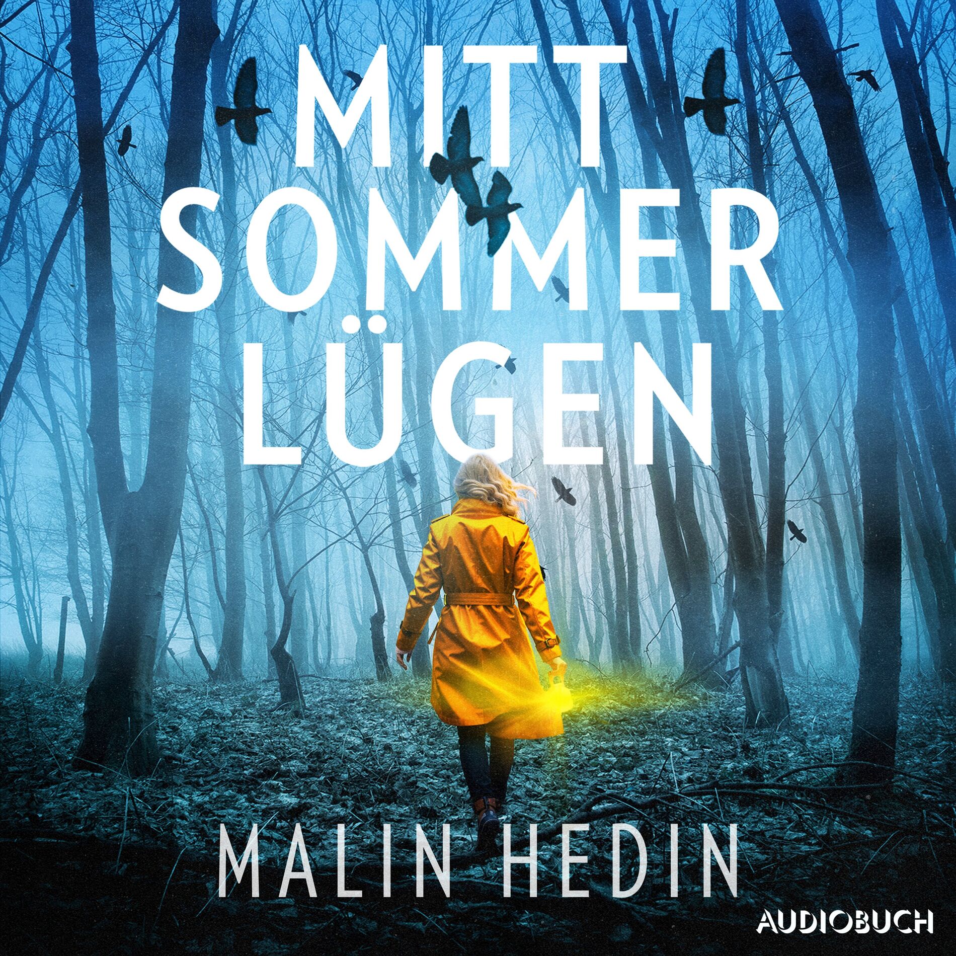 Album cover of Kapitel 01 - Mittsommerlügen
