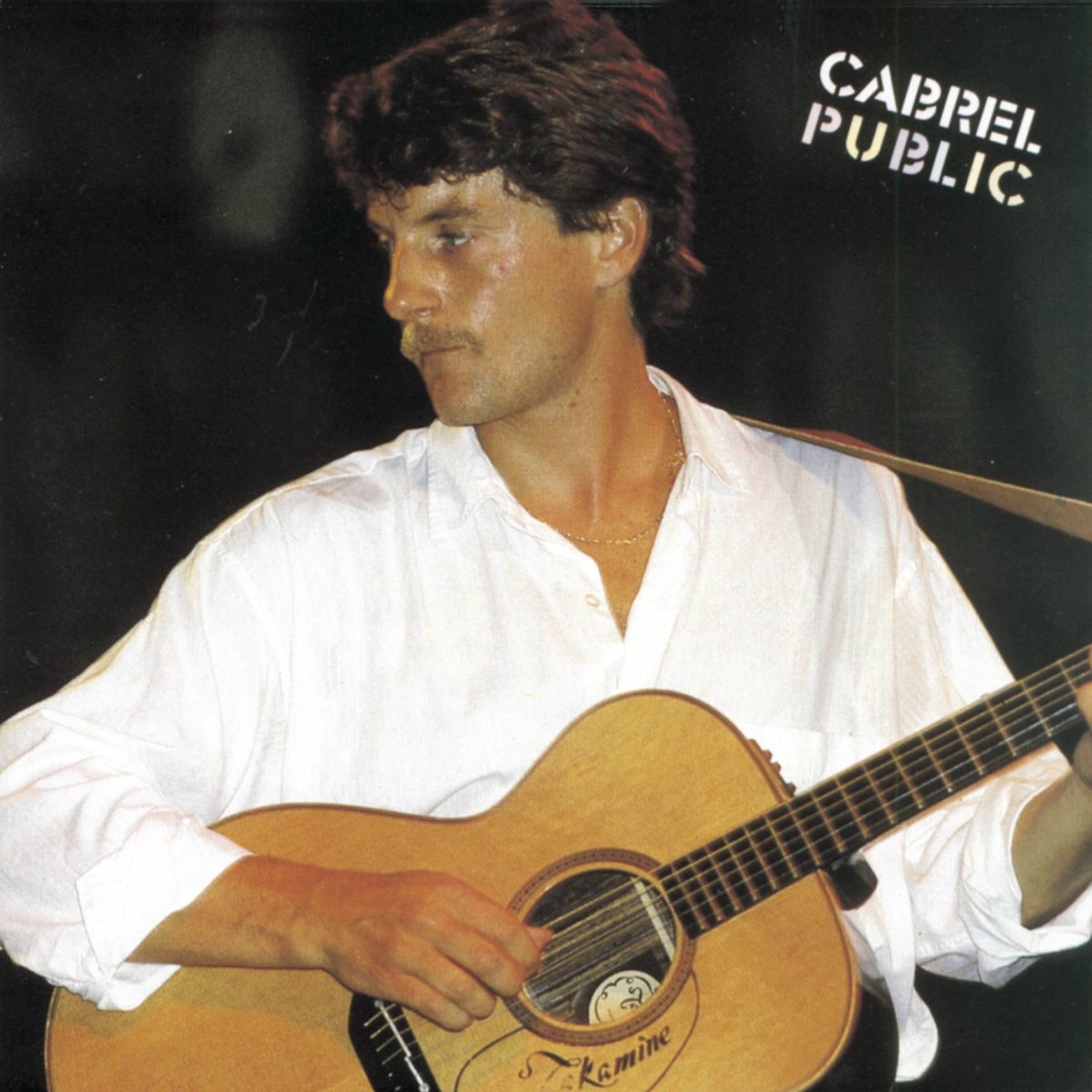 Album cover of Cabrel En Public