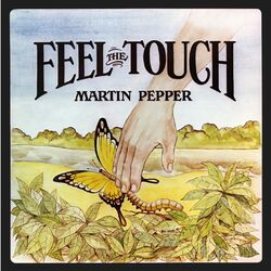 Cover of Feel the Touch