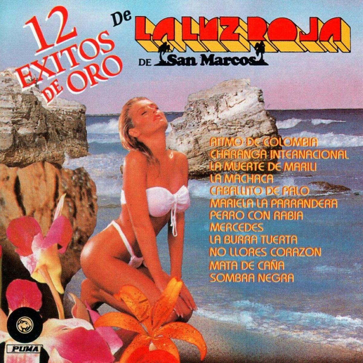 Album cover of 12 Exitos De Oro