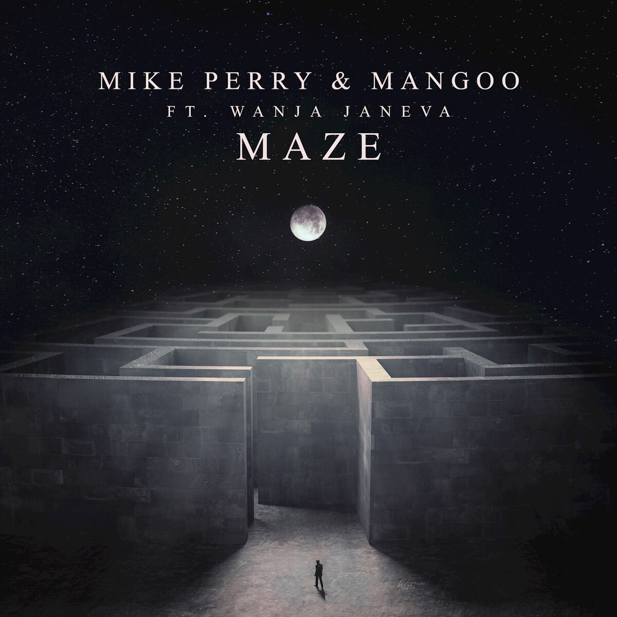 Album cover of Maze