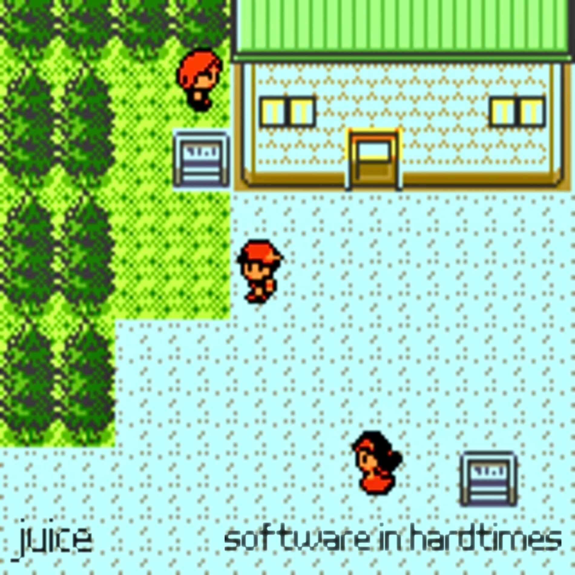 Album cover of software in hardtimes