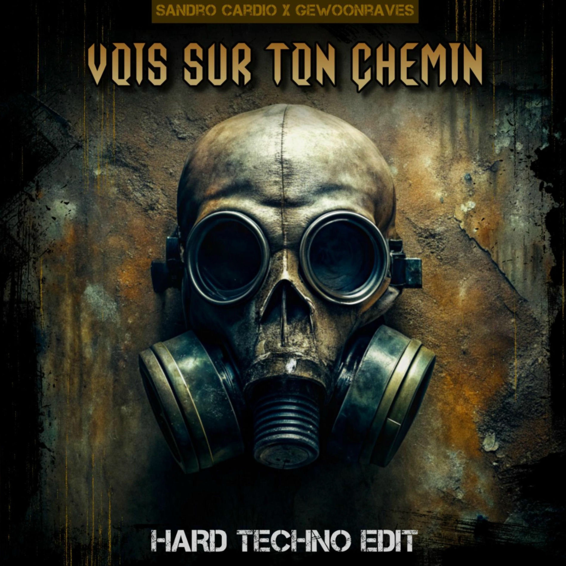 Album cover of Vois Sur Ton Chemin (Hard Techno)