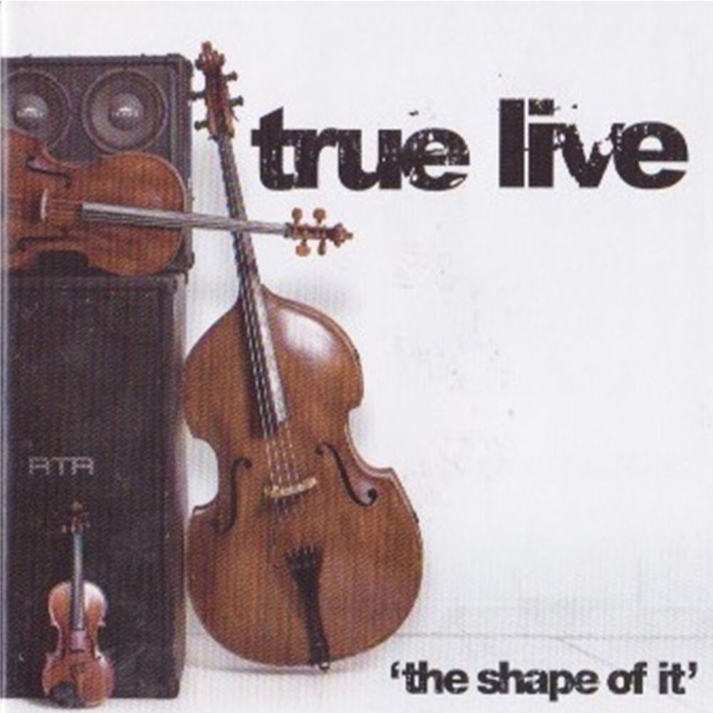 Picture of The Shape of It
