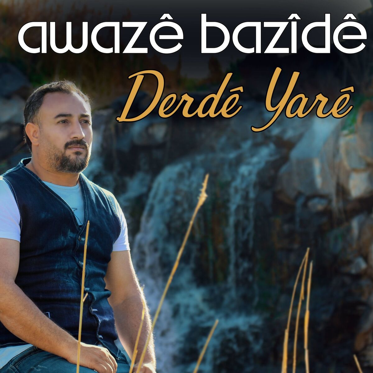 Album cover of Deşta Heranê