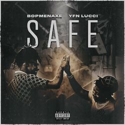 Cover of Safe