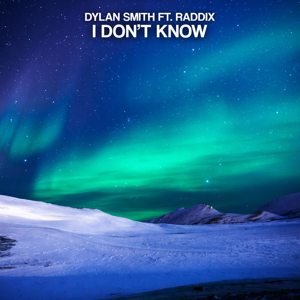 Picture of I Don't Know (feat. Raddix)