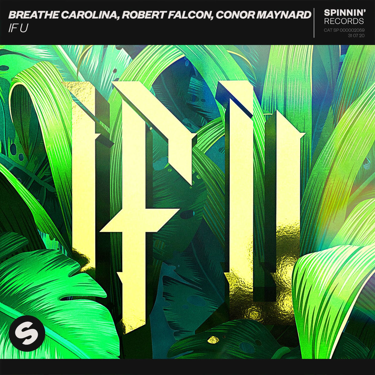 Album cover of IF U