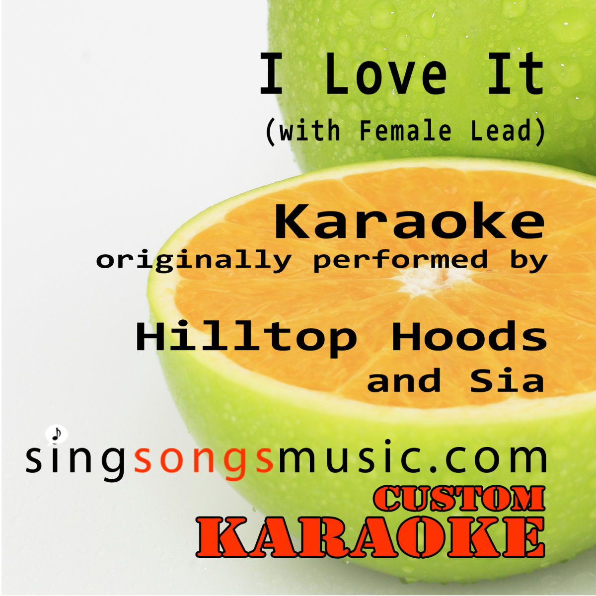 Album cover of I Love It (with Female Lead) [Originally Performed By Hilltop Hoods & Sia] [Karaoke Audio Version]