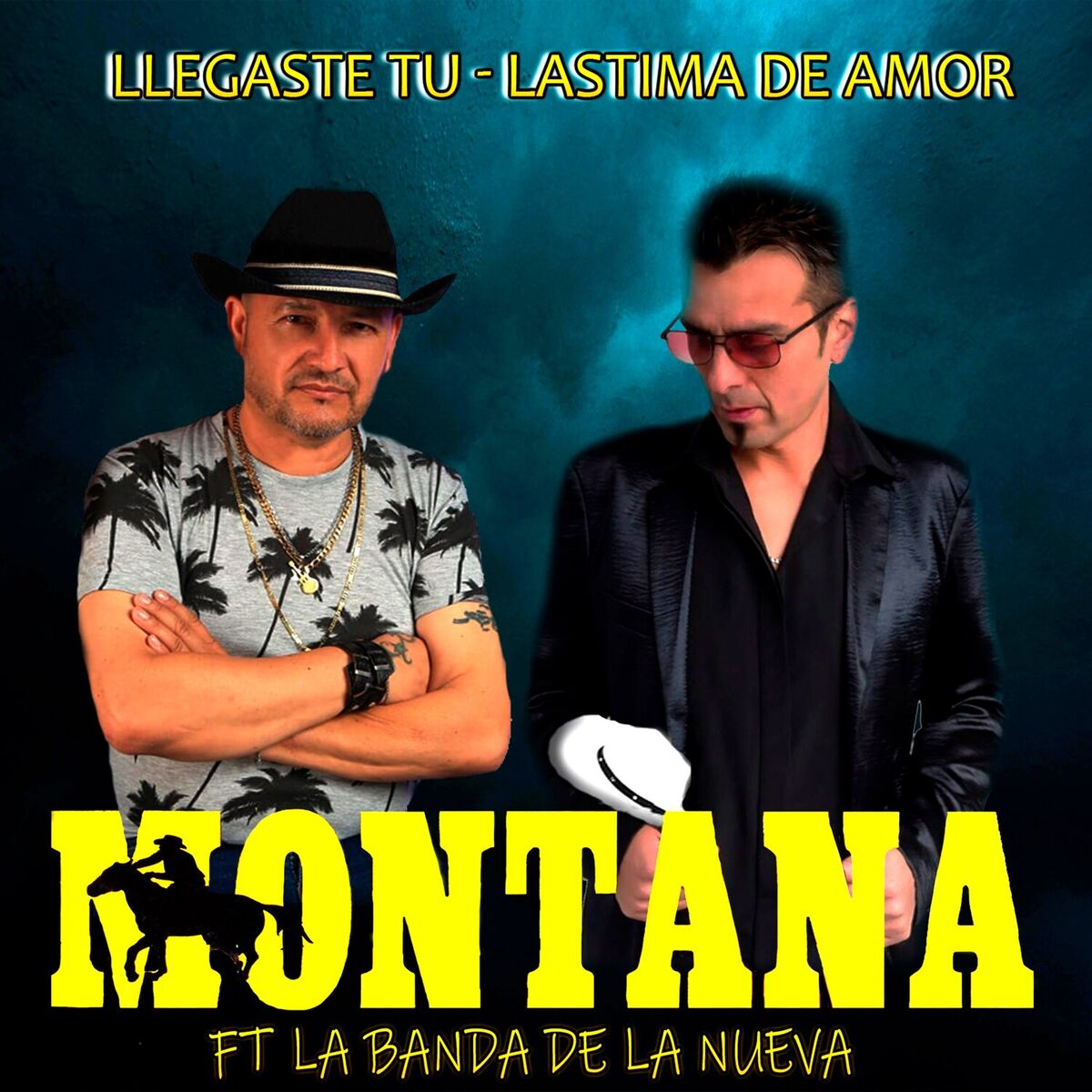 Album cover of Llegaste Tu / Lastima de Amor