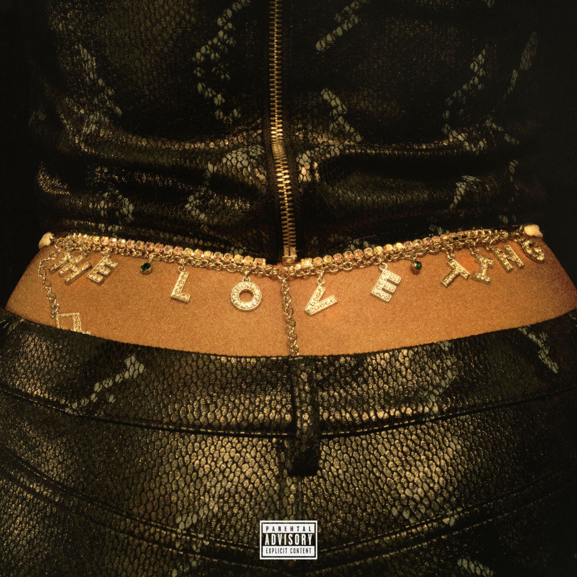 Album cover of THE LOVE TING